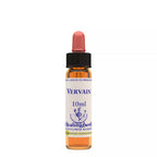 Healing Herbs Vervain | Grocsy