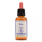 Healing Herbs Vine | Grocsy