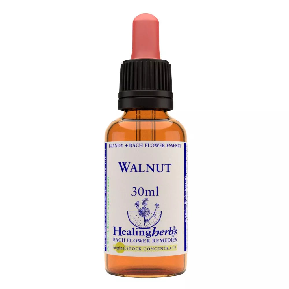 Healing Herbs Walnut | Grocsy
