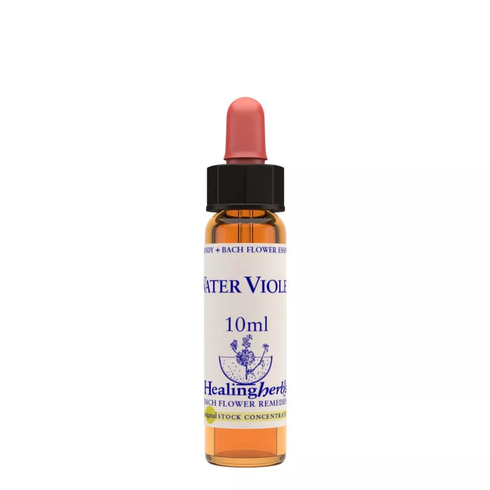 Healing Herbs Water Violet | Grocsy