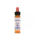 Healing Herbs Water Violet | Grocsy