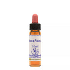 Healing Herbs Water Violet | Grocsy