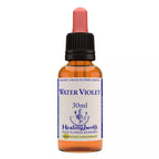Healing Herbs Water Violet | Grocsy