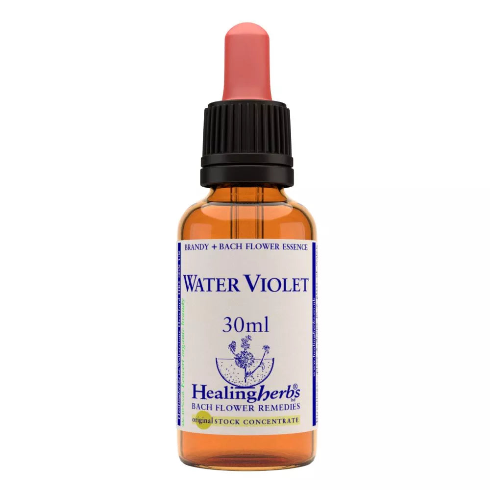 Healing Herbs Water Violet | Grocsy