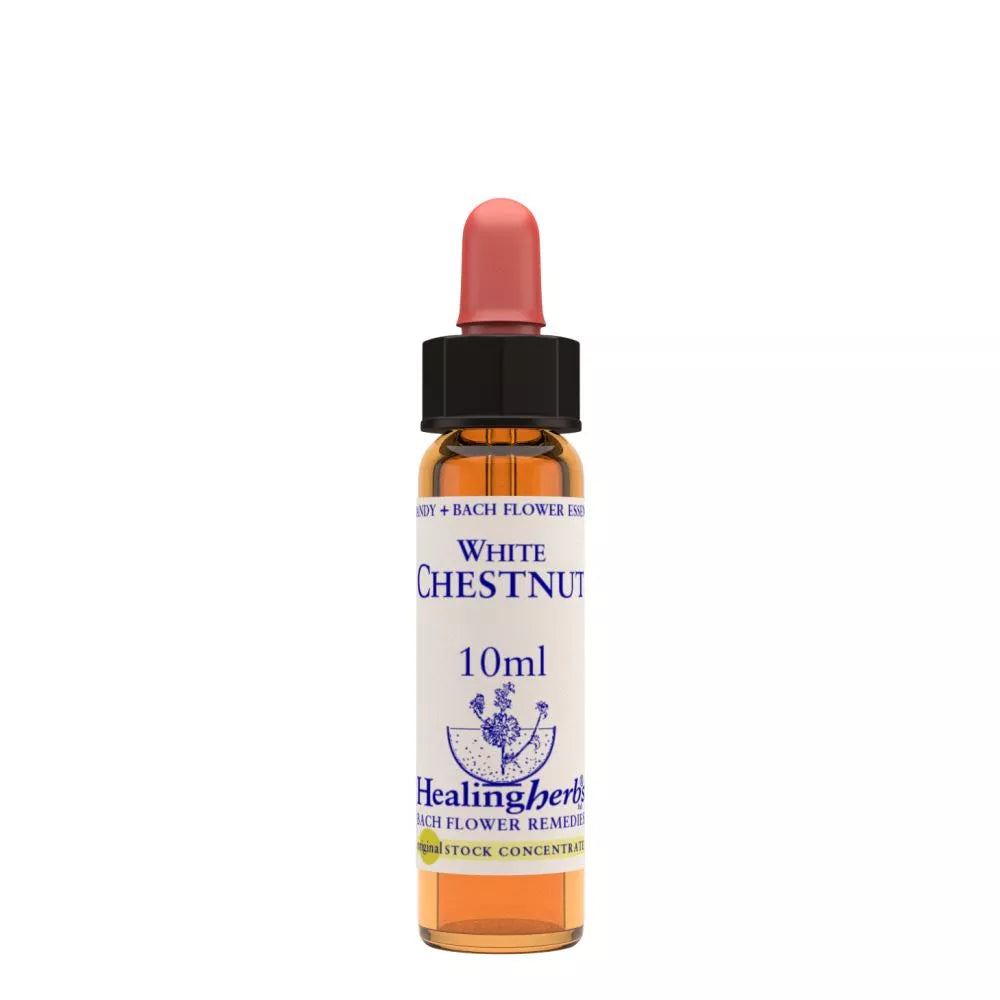 Healing Herbs White Chestnut | Grocsy
