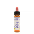 Healing Herbs White Chestnut | Grocsy