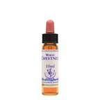 Healing Herbs White Chestnut | Grocsy