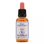 Healing Herbs White Chestnut | Grocsy