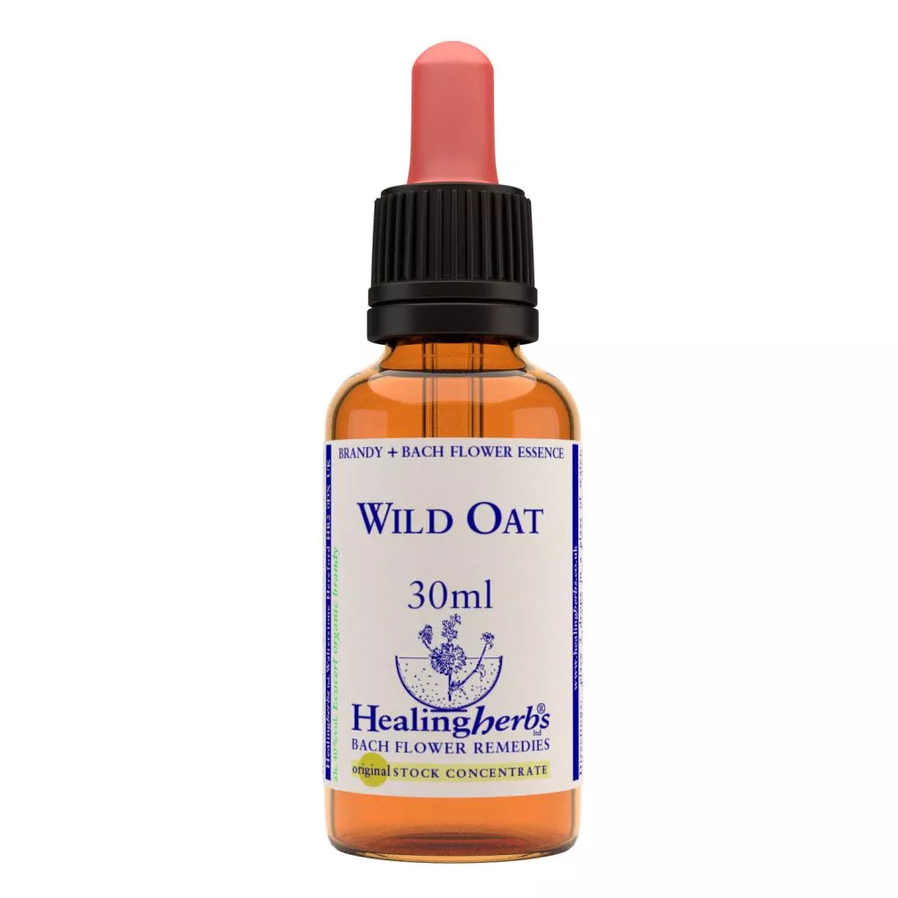Healing Herbs Wild Oat | Grocsy