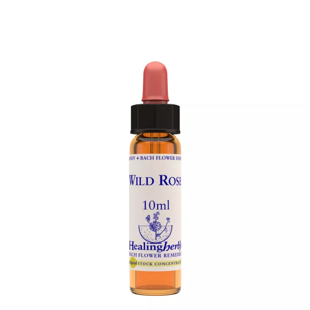 Healing Herbs Wild Rose | Grocsy