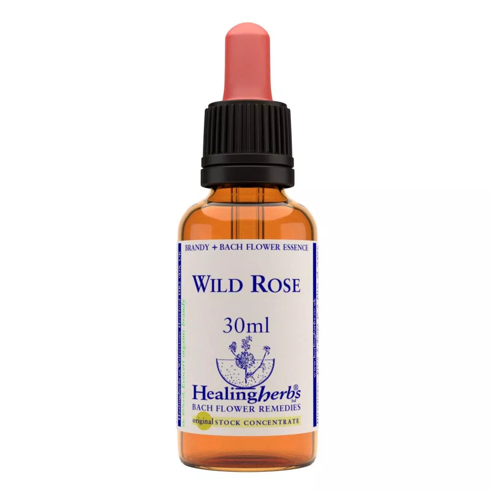 Healing Herbs Wild Rose | Grocsy