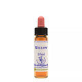 Healing Herbs Willow | Grocsy