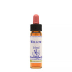 Healing Herbs Willow | Grocsy