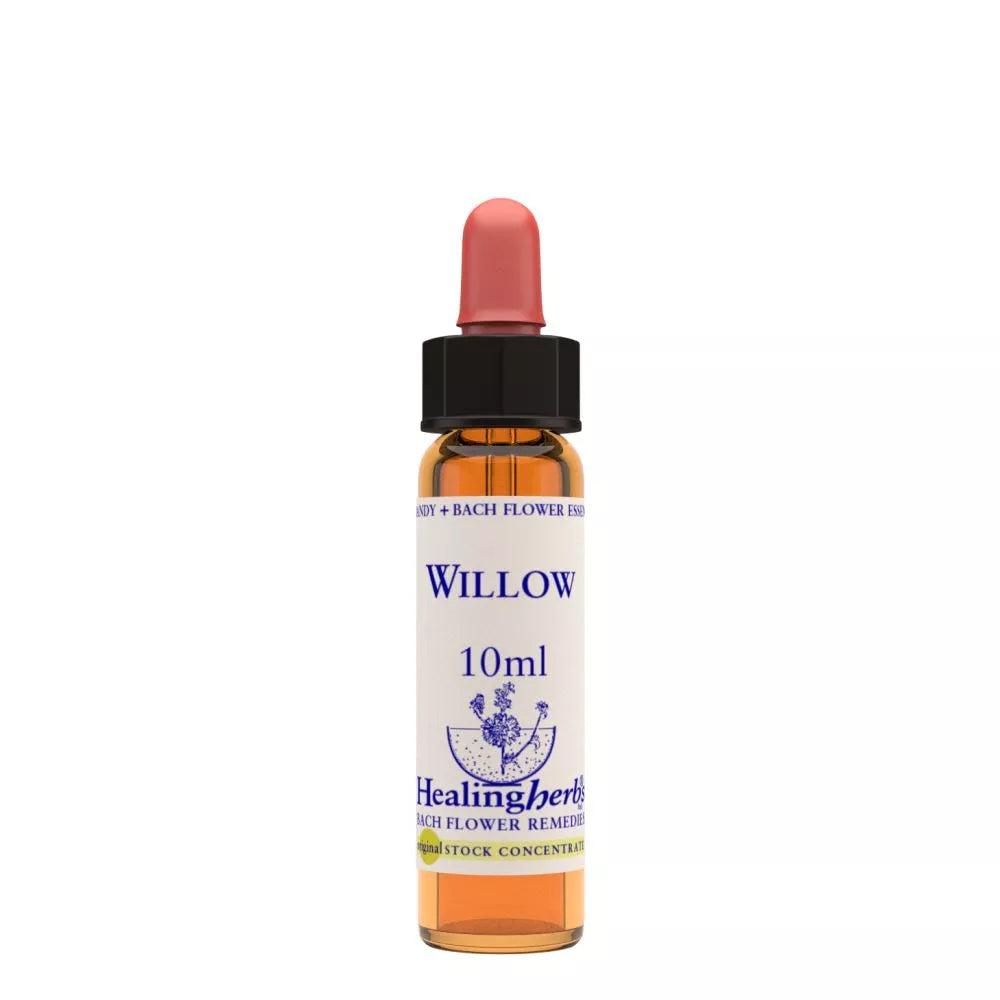 Healing Herbs Willow | Grocsy