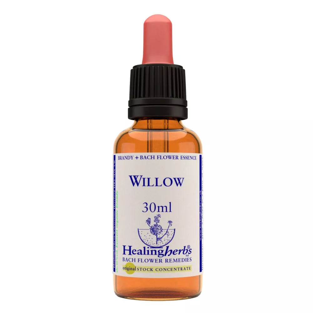 Healing Herbs Willow | Grocsy