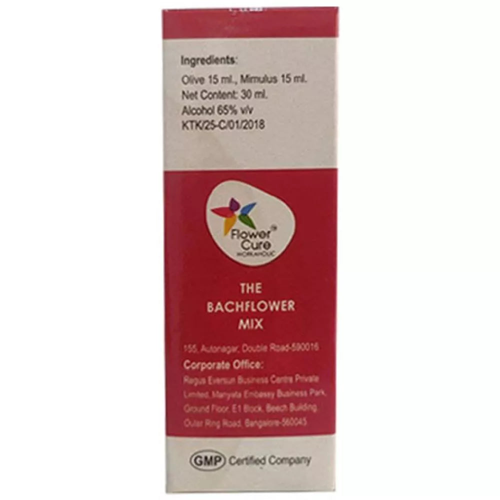 Bach Flower Mix Workaholic | Grocsy