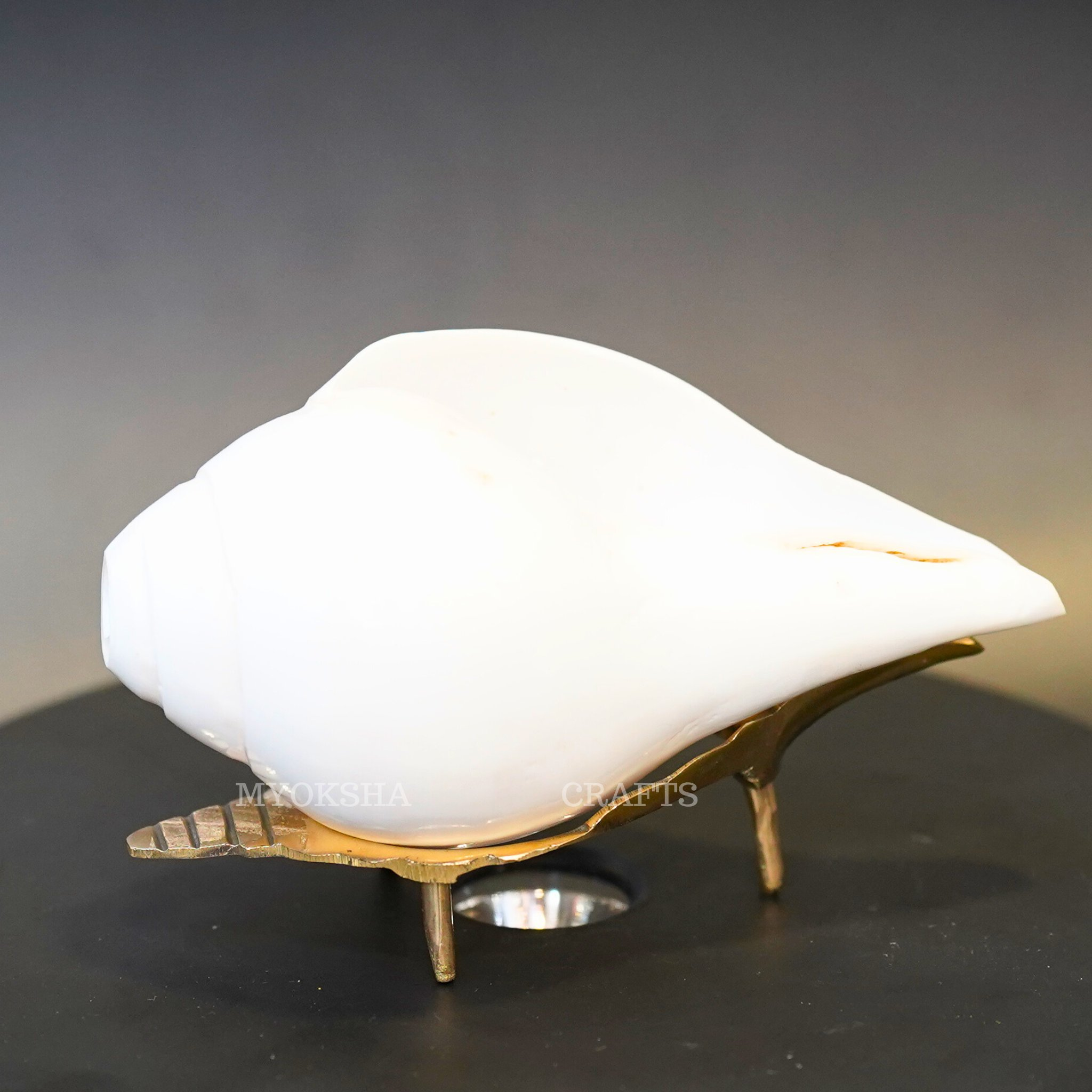 Shankh with Brass Stand | Grocsy