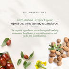 Lotus Organics + Kajal | Grocsy