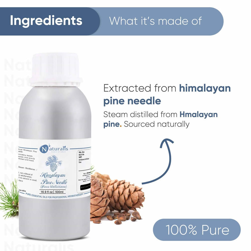 Naturalis Essence Himalayan Pine Needle Essential Oil | Grocsy