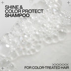 Redken Acidic Colour Gloss Sulphate-Free Shampoo For Hair Colour Protection & Shine | Grocsy