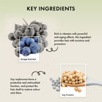 Naturica Moisturizing Defense Mask for Normal to Dry Hair, Hydrate with Grape Extract & Soy Protein | Grocsy