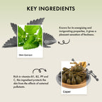Naturica Energizing Miracle Treatment for Thin Hair, Reduce Fiber Loss with Caper & Ginseng Extract | Grocsy