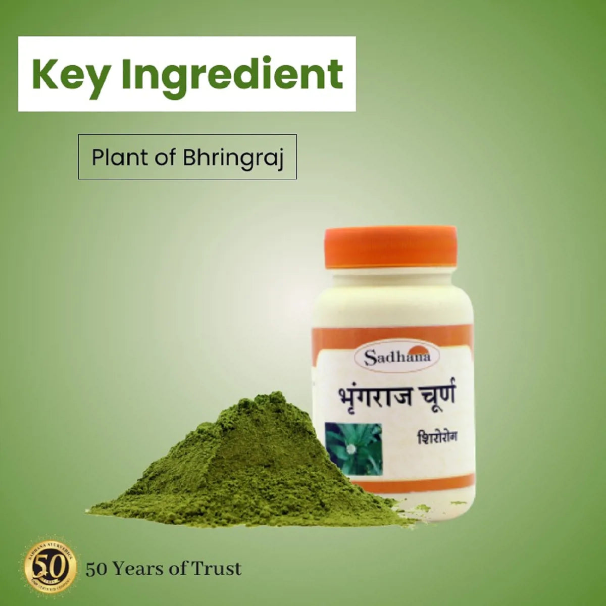 Sadhana Bhringraj Powder | Grocsy