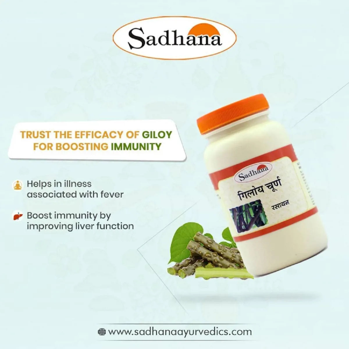 Sadhana Giloy Powder | Grocsy
