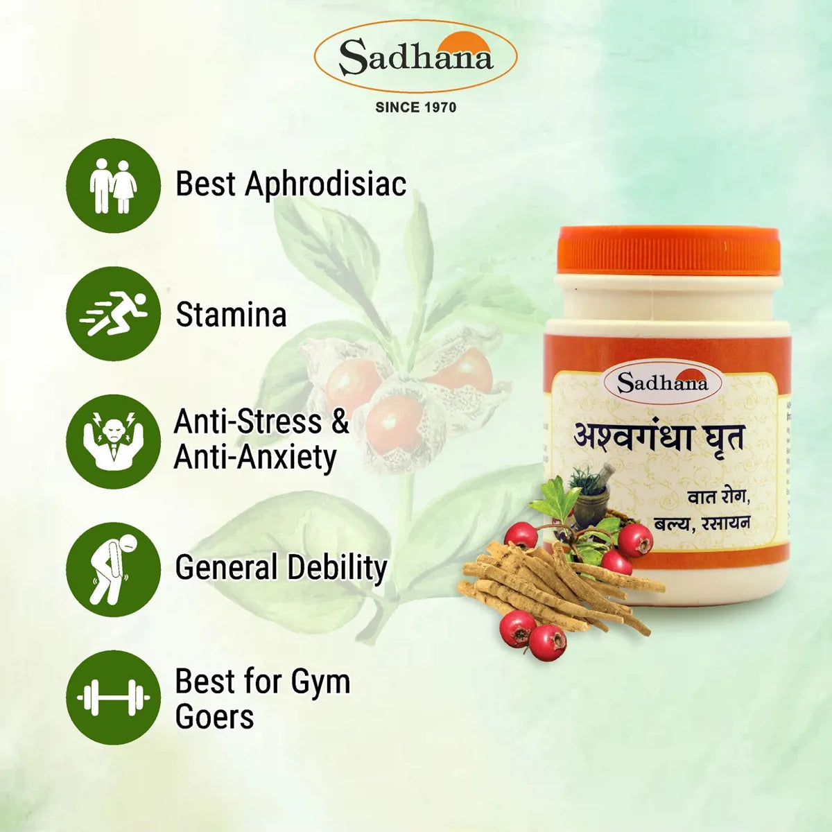 Sadhana Ashwagandha Ghrita | Grocsy
