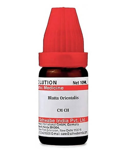 Dr. Willmar Schwabe India Blatta Orientalis Dilution | Grocsy
