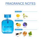 Ajmal India Blu Dreams EDP Perfume For Men | Grocsy
