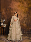 Anaita Mehendi Embroidered Net Anarkali Suit | Grocsy