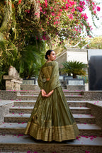 Lorenvalley Mehendi Pure Chanderi Plain With Zari Weaving Work Border Lehenga Choli | Grocsy