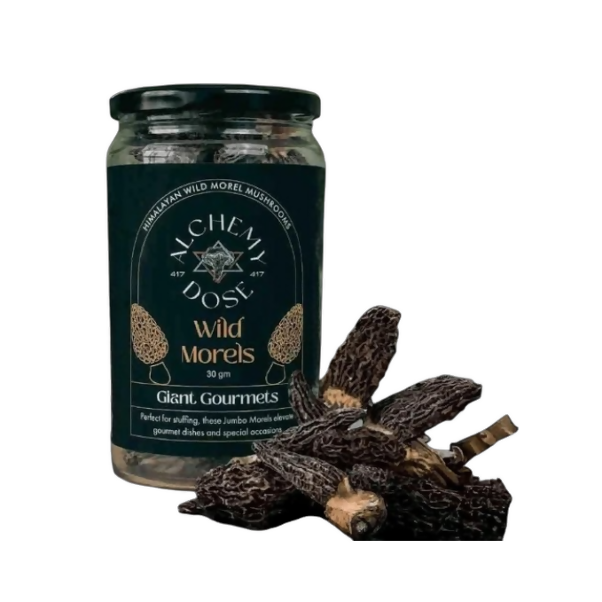 Alchemy Dose Sun-Dried Morel Mushrooms | Grocsy