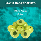 Herbal Hills Amla Swaras Health Juice | Grocsy