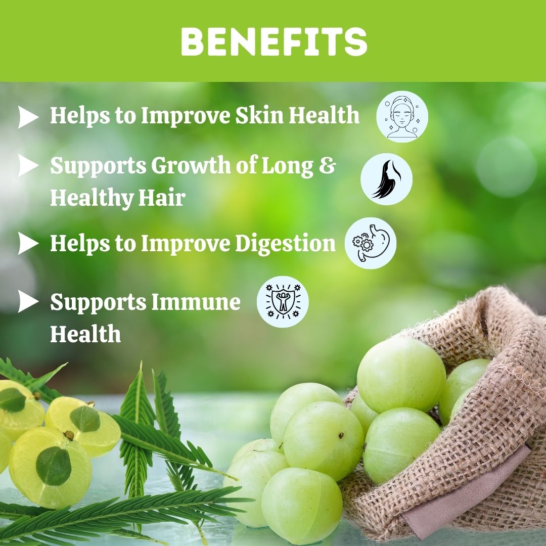 Herbal Hills Organic Amla Powder | Grocsy