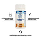 Biogetica Holoram Euphoria | Grocsy