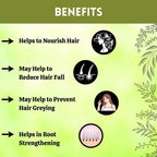 Herbal Hills Ayurveda Bhringraj Powder | Grocsy