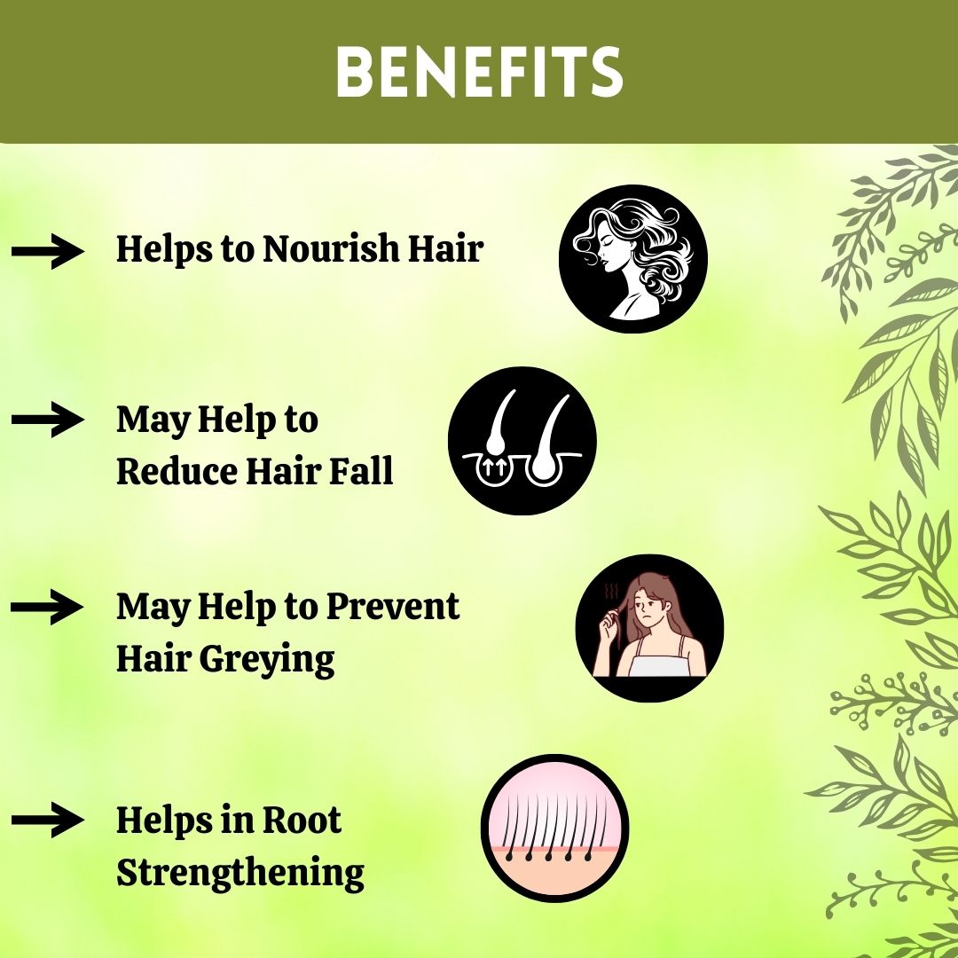 Herbal Hills Ayurveda Bhringraj Powder | Grocsy