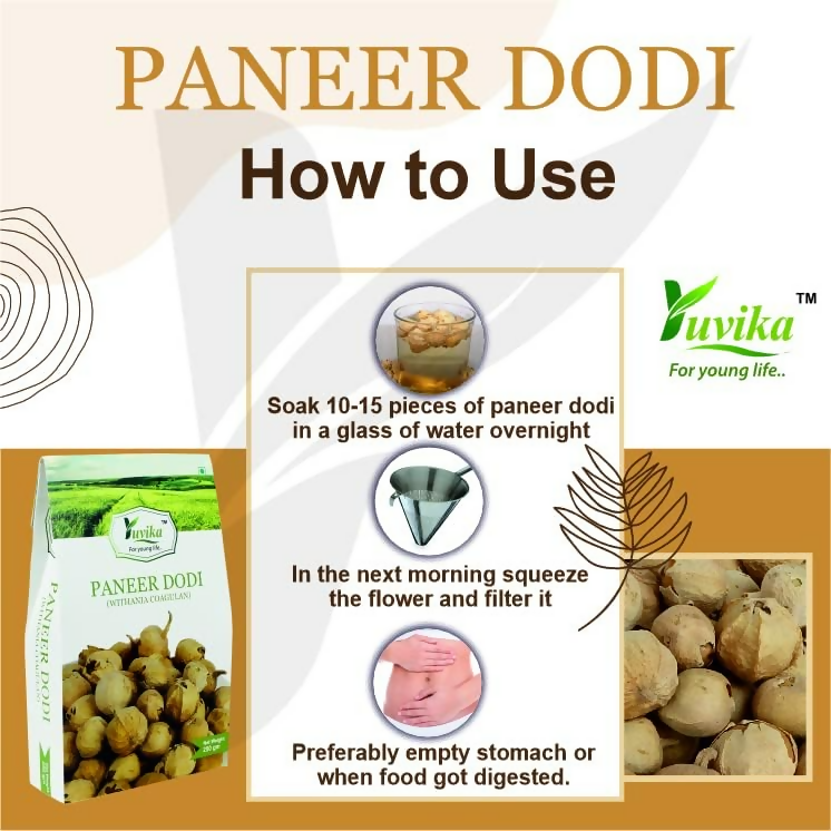 Yuvika Paneer DODI - Paneer Ke Phool - Withania Coagulan | Grocsy