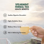 Tea Treasure Pure Spearmint Tea | Grocsy