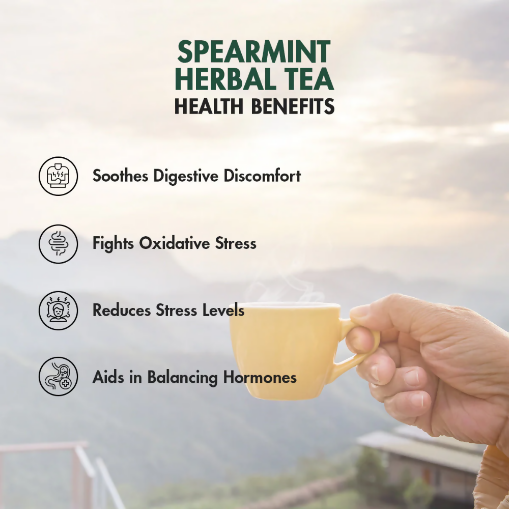 Tea Treasure Pure Spearmint Tea | Grocsy