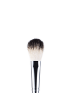 Anastasia Beverly Hills Brush A23 | Grocsy