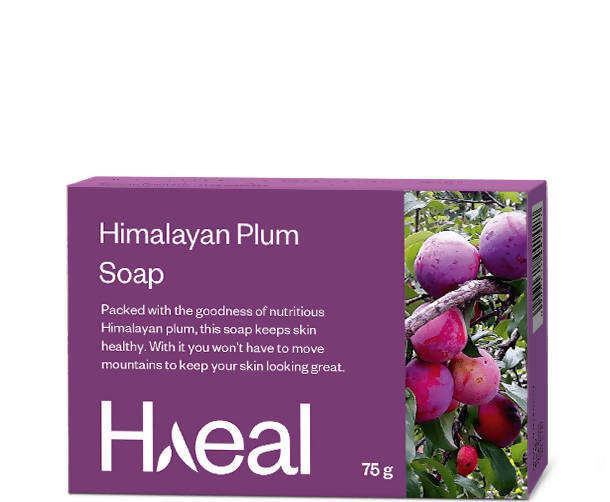 Haeal Himalayan Plum Soap | Grocsy