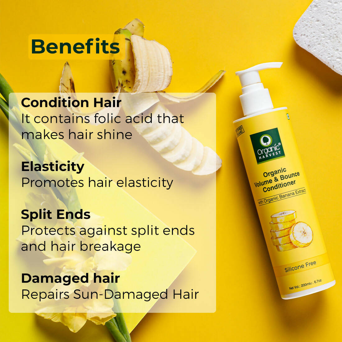 Organic Harvest Organic Volume & Bounce Conditioner With Organic Banana Extract | Grocsy