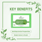 Earth Science Ayurveda Neem Tulsi Bath Soap | Grocsy