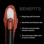 Renee Lip Fix 3 in 1 Tinted Lip Balm - Nutmeg | Grocsy