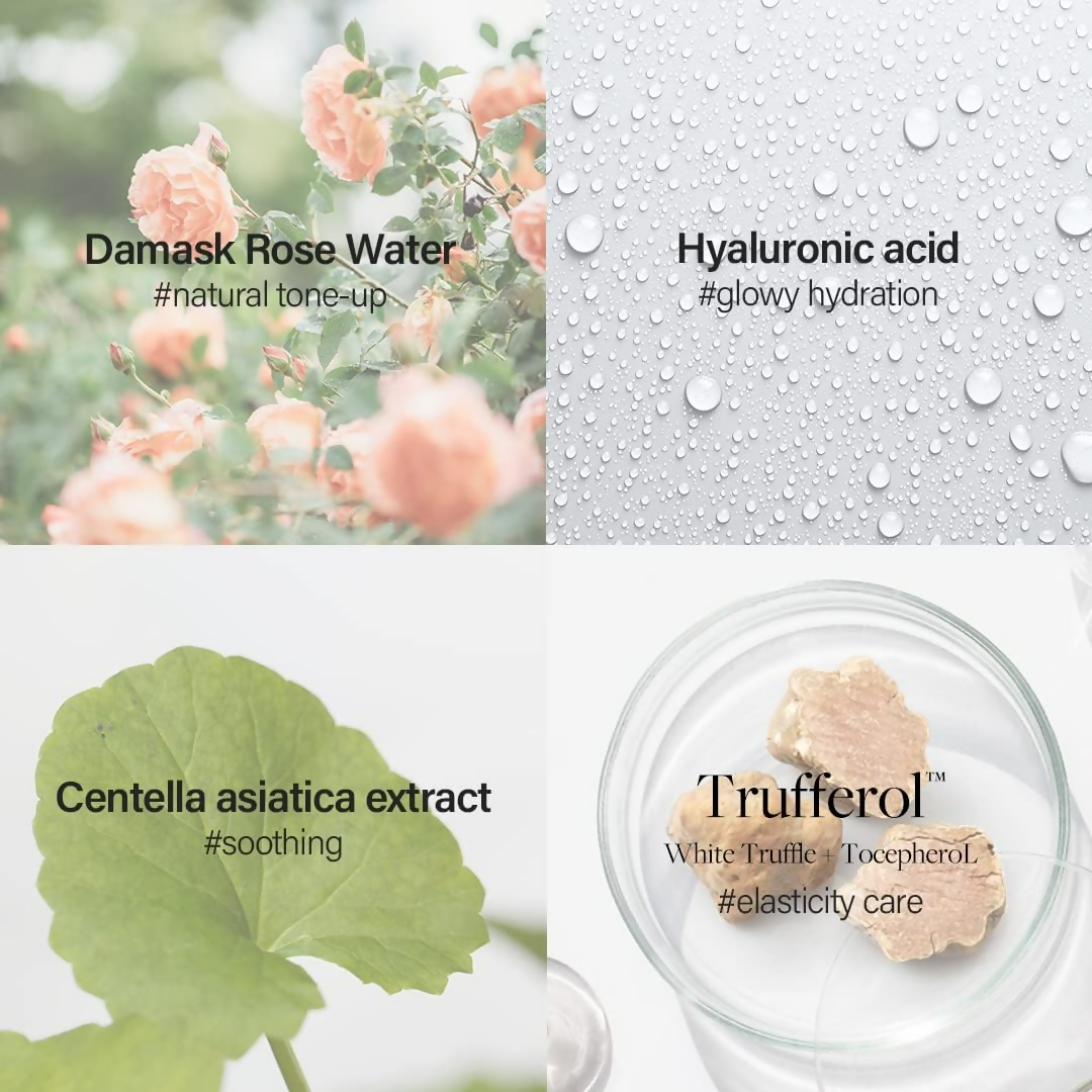 d'Alba Piedmont Italian White Truffle Waterfull Tone-Up Sunscreen Vegan Skincare Tinted Moisturizer With Spf 50+ Pa+++ | Grocsy