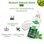 VI-JOHN Prakritik Amla & Bhringraj Conditioner, Vitamin C for deep-rooted care,100% Bio Actives | Grocsy