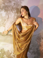 Brown Burberry Organza Solid Fancy Designer Saree - Nafisa | Grocsy